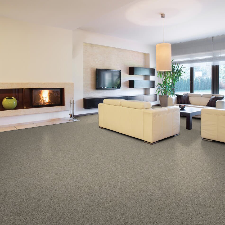 Shaw Floors Simply The Best All Set I Net River Rock 00701_E9894