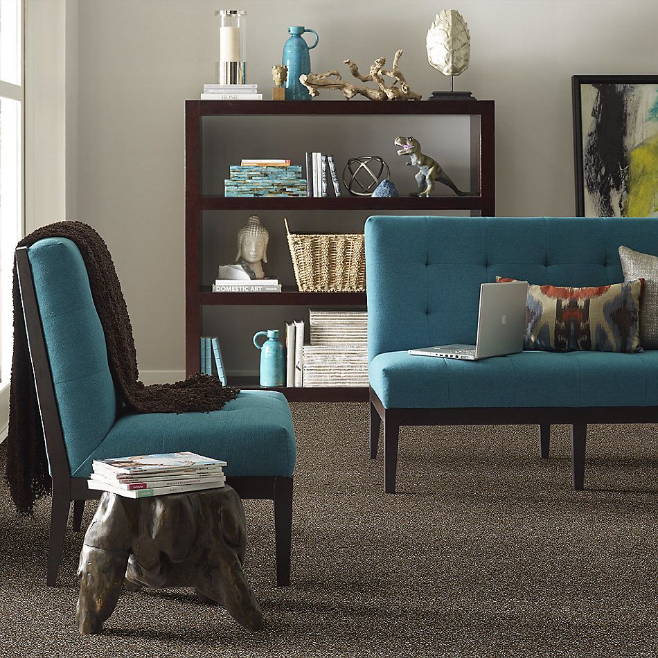 Shaw Floors Value Collections Go All Out Rocky Trail 00701_E9909