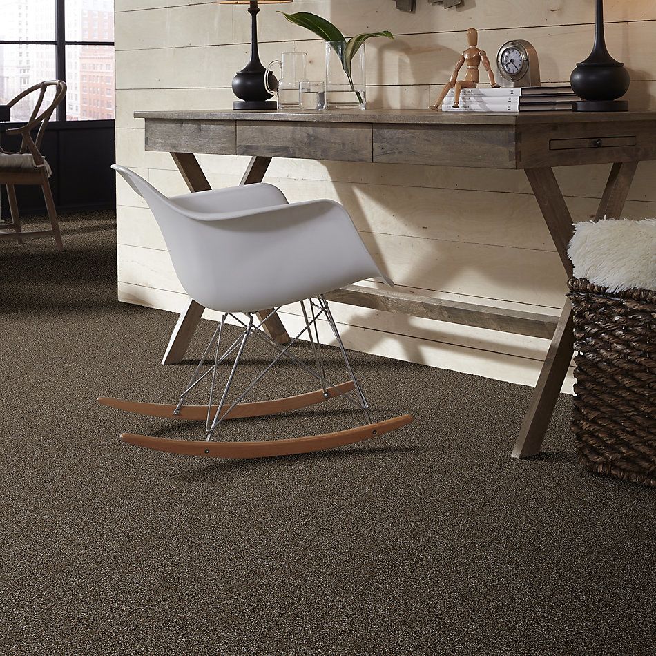 Shaw Floors Value Collections Breathe & Reflect Net Chateau 00701_EA720