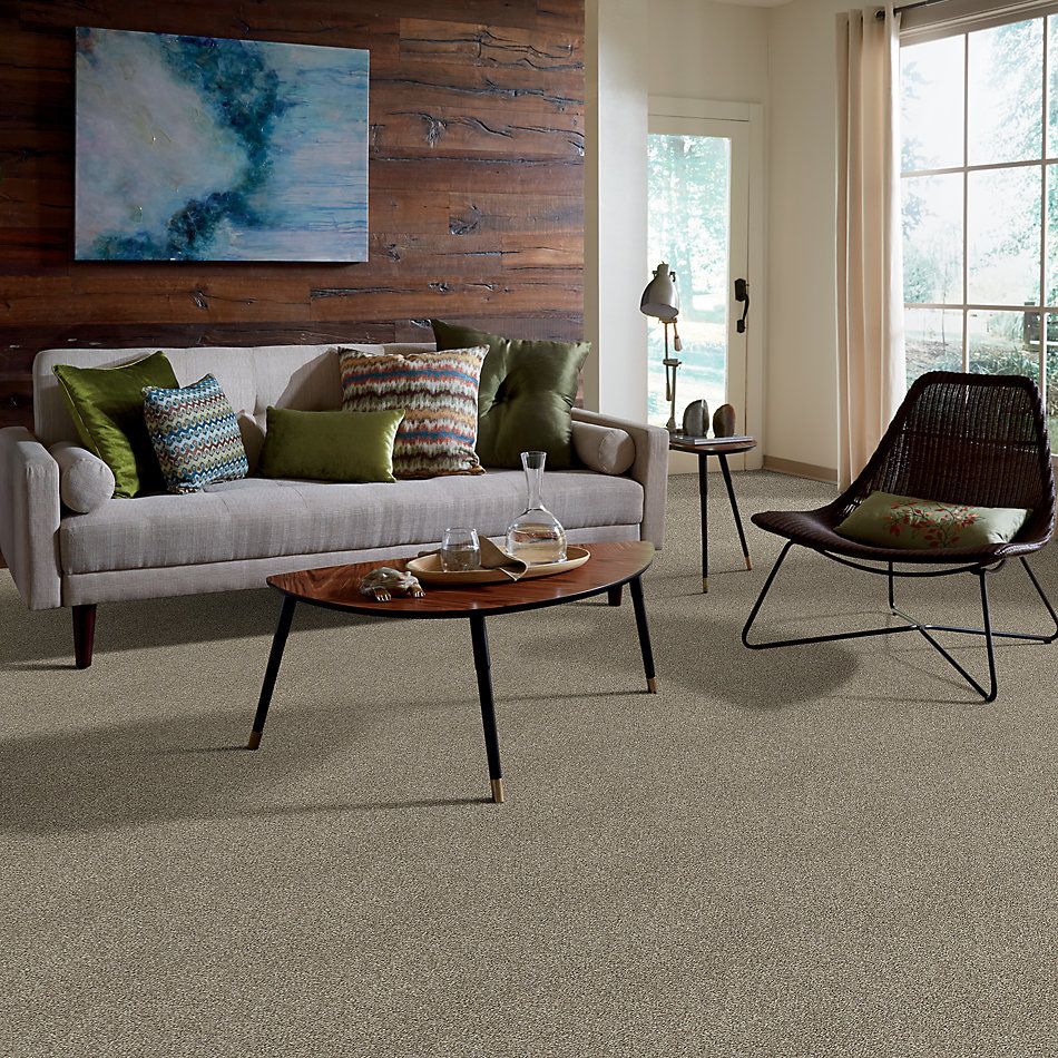 Shaw Floors Nfa You Got It I Clay 00701_NA240