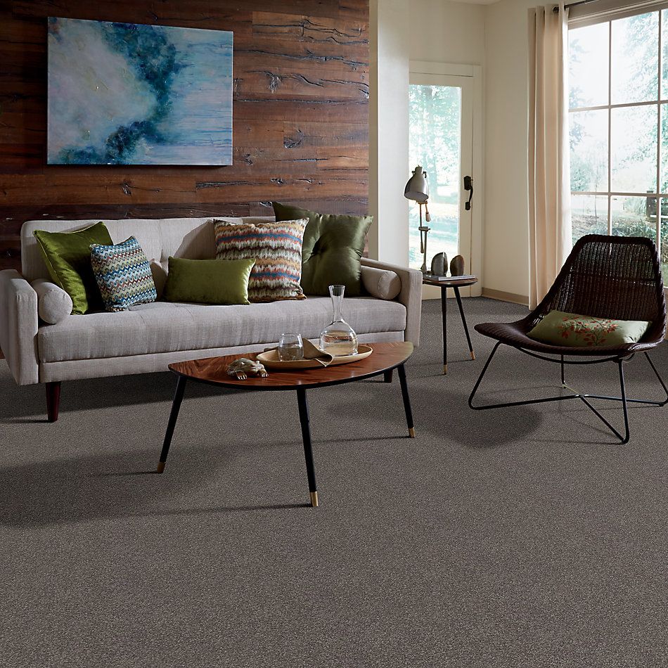 Shaw Floors Nfa Relentless II 15 Pewter 00701_NA506