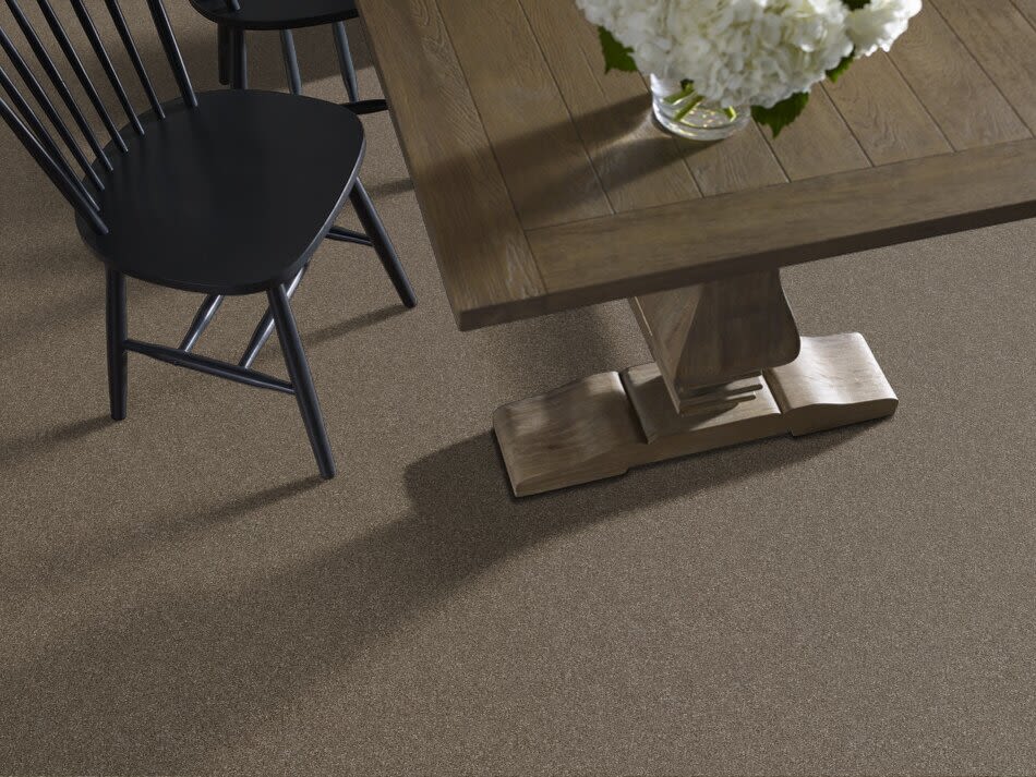 Shaw Floors Nfa Provisional II Bountiful 00701_NA519