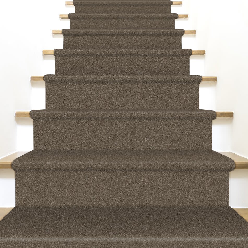 Shaw Floors Nfa Provisional II Bountiful 00701_NA519