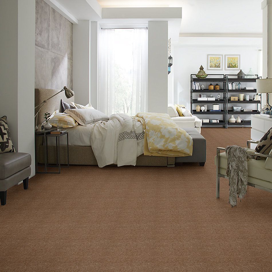 Shaw Floors Northeast Local Stock Program Freedom Tudor Brown 00701_NE137