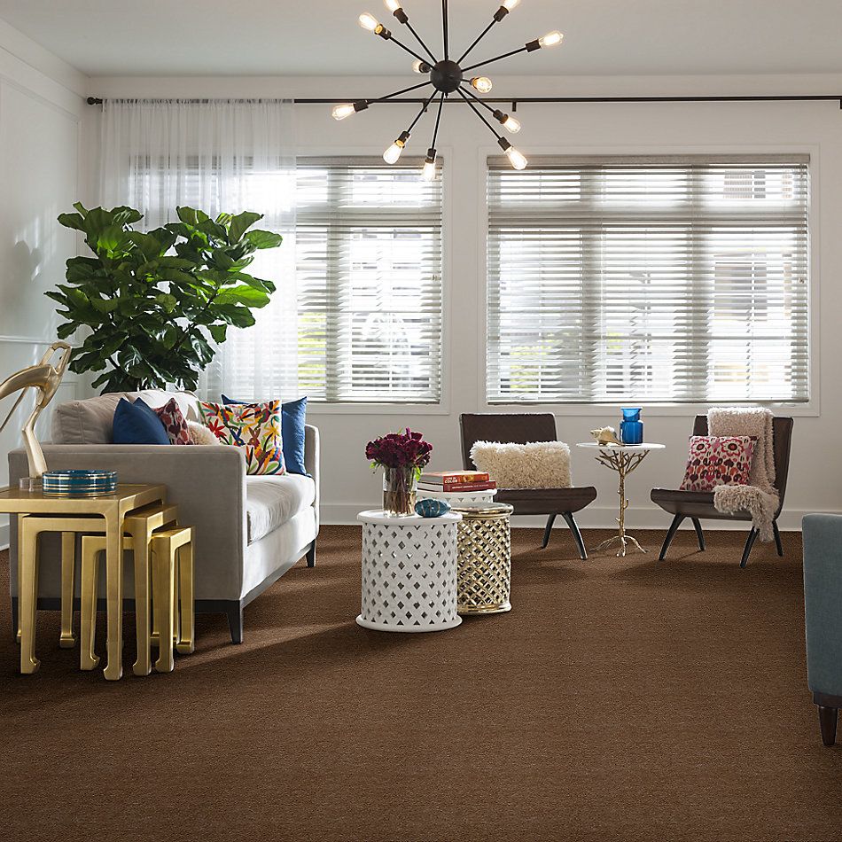 Shaw Floors Northeast Local Stock Program Freedom Tudor Brown 00701_NE137