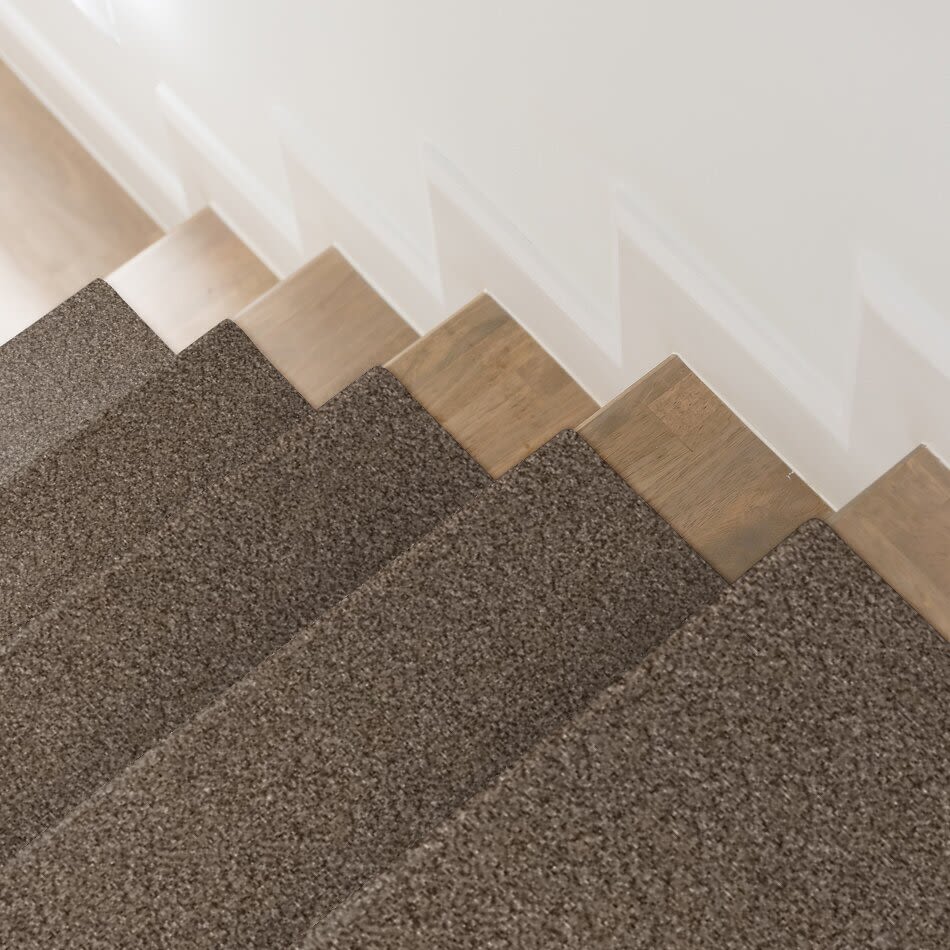 Shaw Floors Value Collections Xy145 12′ Net Pinecone 00701_XY145