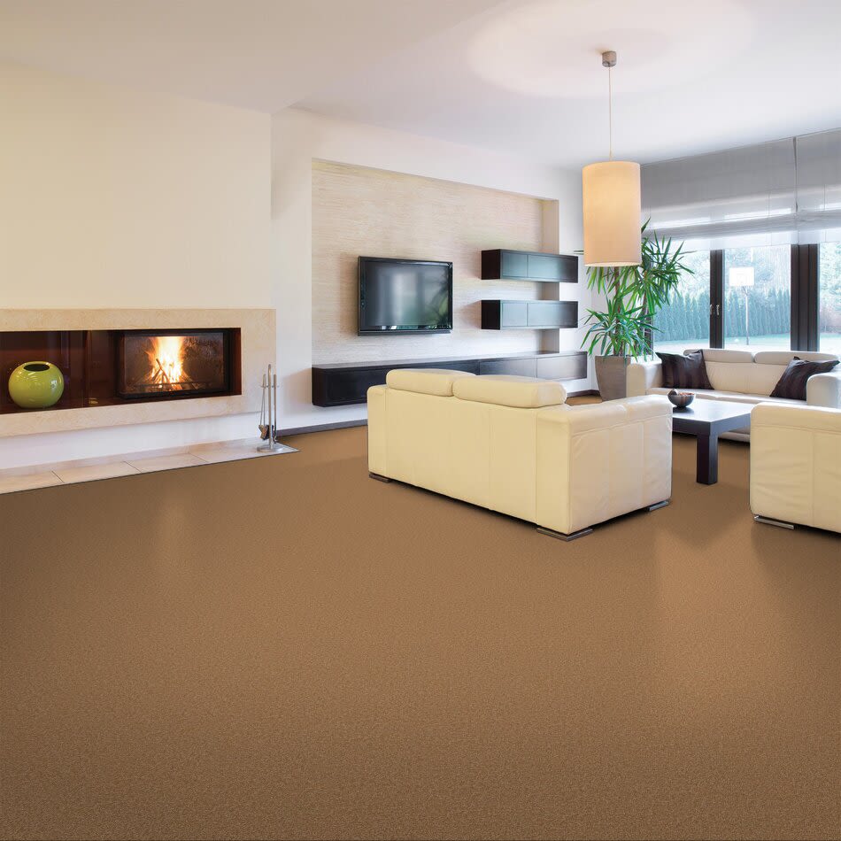 Shaw Floors Toll Brothers HS/Tuftex Gianna Toast 00702_23ATB
