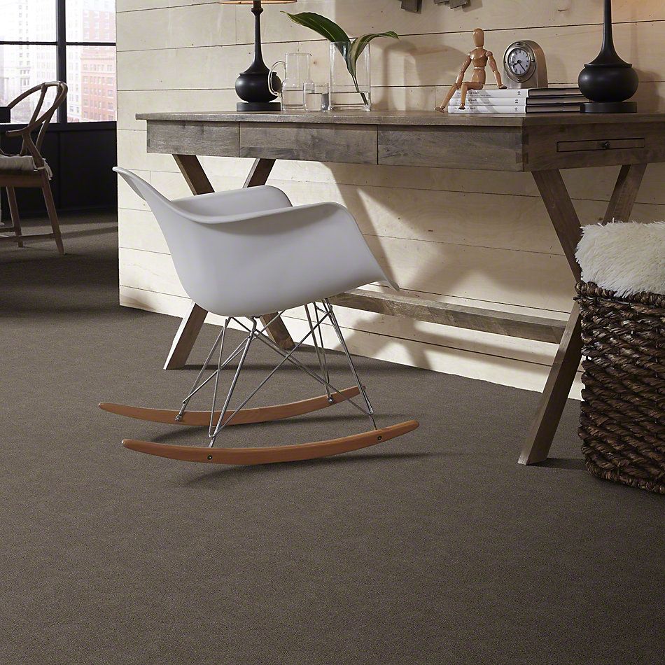Shaw Floors Shaw Flooring Gallery Chromatic Dark Chocolate 53633_00702