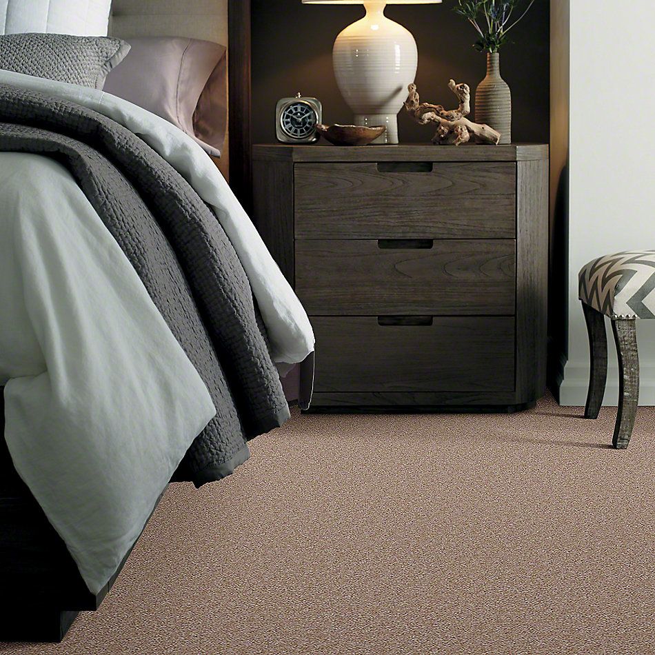 Shaw Floors Instant Winner River’s Edge 52E28_00702