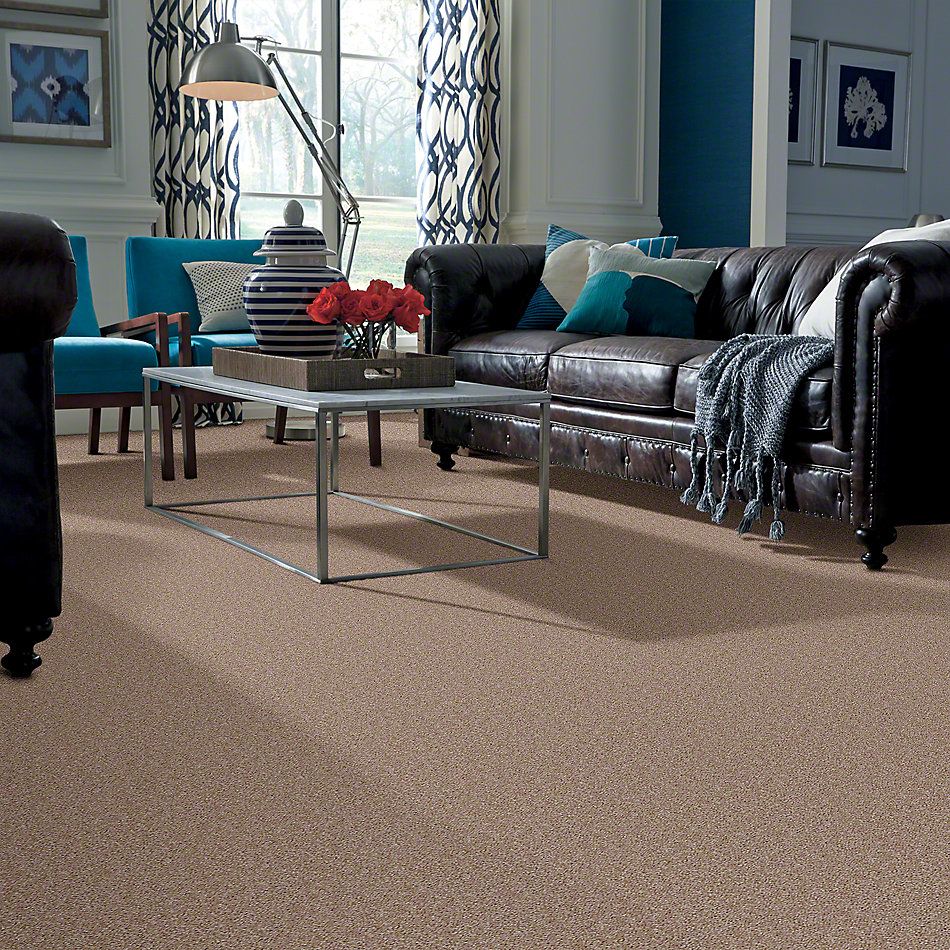 Shaw Floors Instant Winner River’s Edge 52E28_00702