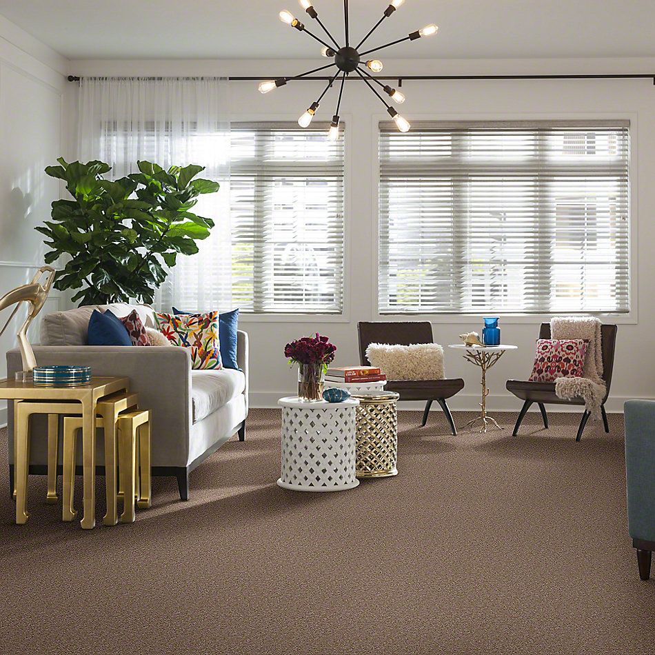 Shaw Floors Instant Winner River’s Edge 52E28_00702
