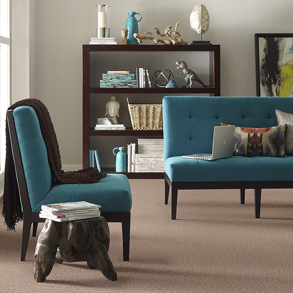 Shaw Floors Instant Winner River’s Edge 52E28_00702