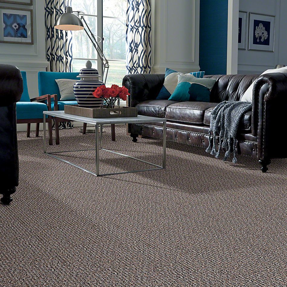 Shaw Floors Pure Waters 15 Charred Wood 52H11_00702