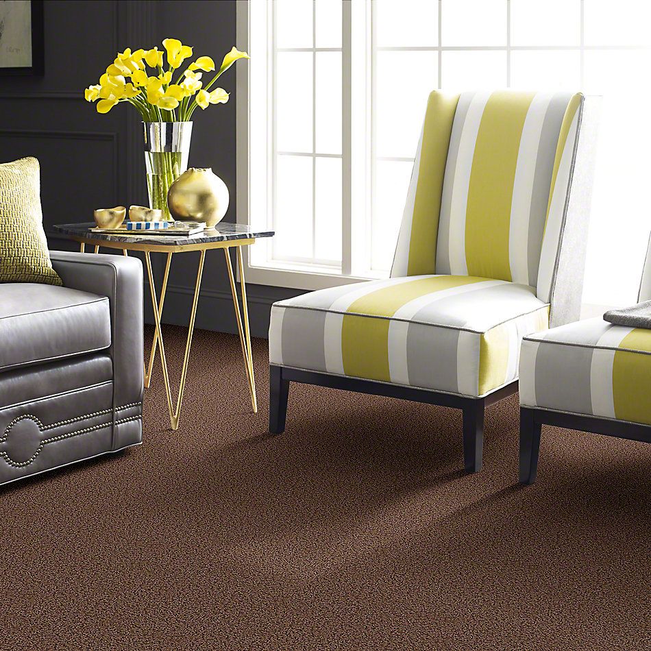 Shaw Floors Guess Work (s) Pine Bark 52T99_00702