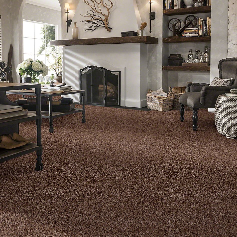 Shaw Floors Guess Work (s) Pine Bark 52T99_00702