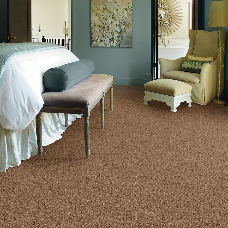 Shaw Floors Cardinal Brown Sugar 52R37_00702
