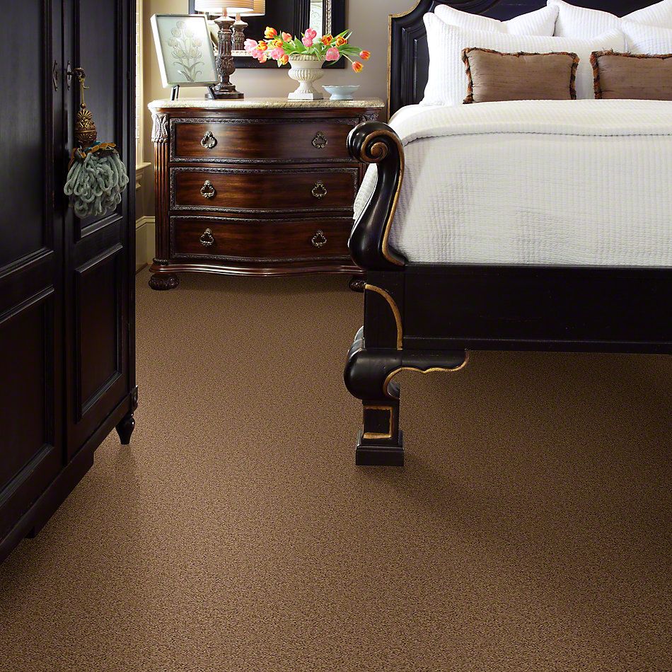 Shaw Floors Cardinal Brown Sugar 52R37_00702