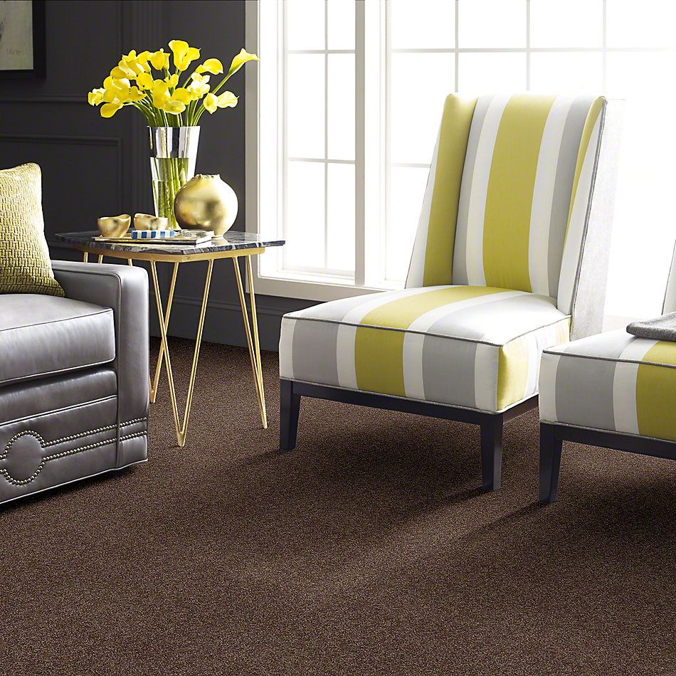 Shaw Floors Full Court 12′ Cattail 52Y46_00702