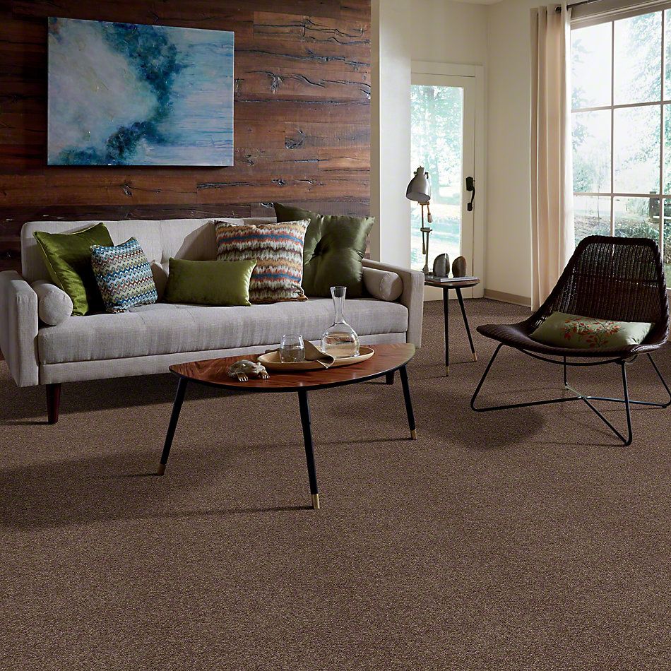Shaw Floors Full Court 12′ Cattail 52Y46_00702
