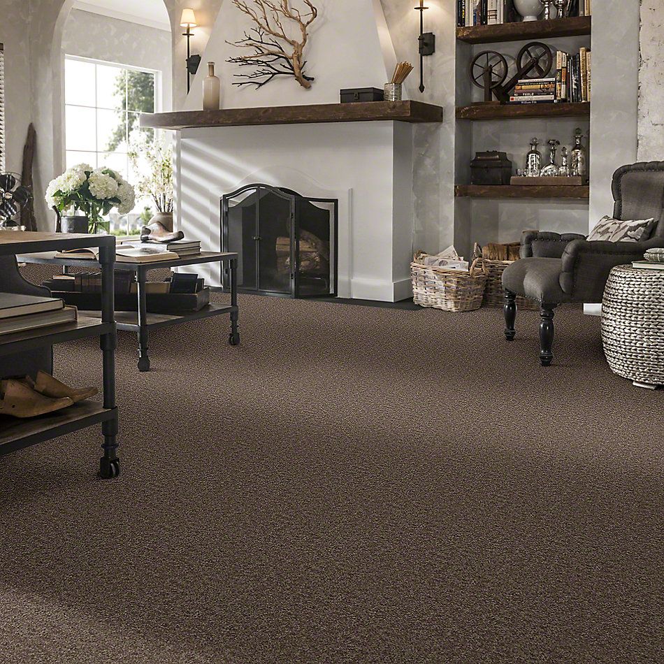 Shaw Floors Full Court 15′ Cattail 52Y82_00702
