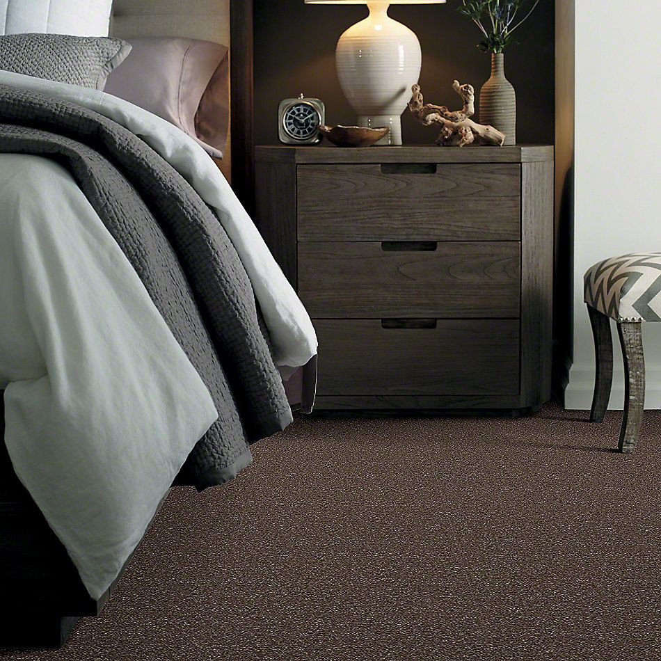 Shaw Floors Fielder’s Choice 15′ Landslide 00702_52Y92