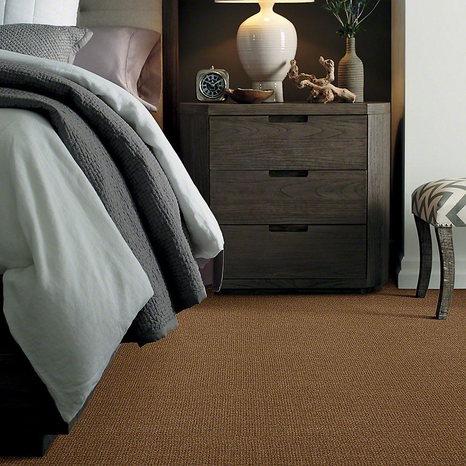 Shaw Floors Shaw Flooring Gallery Unleashed Leather Bound 00702_5514G