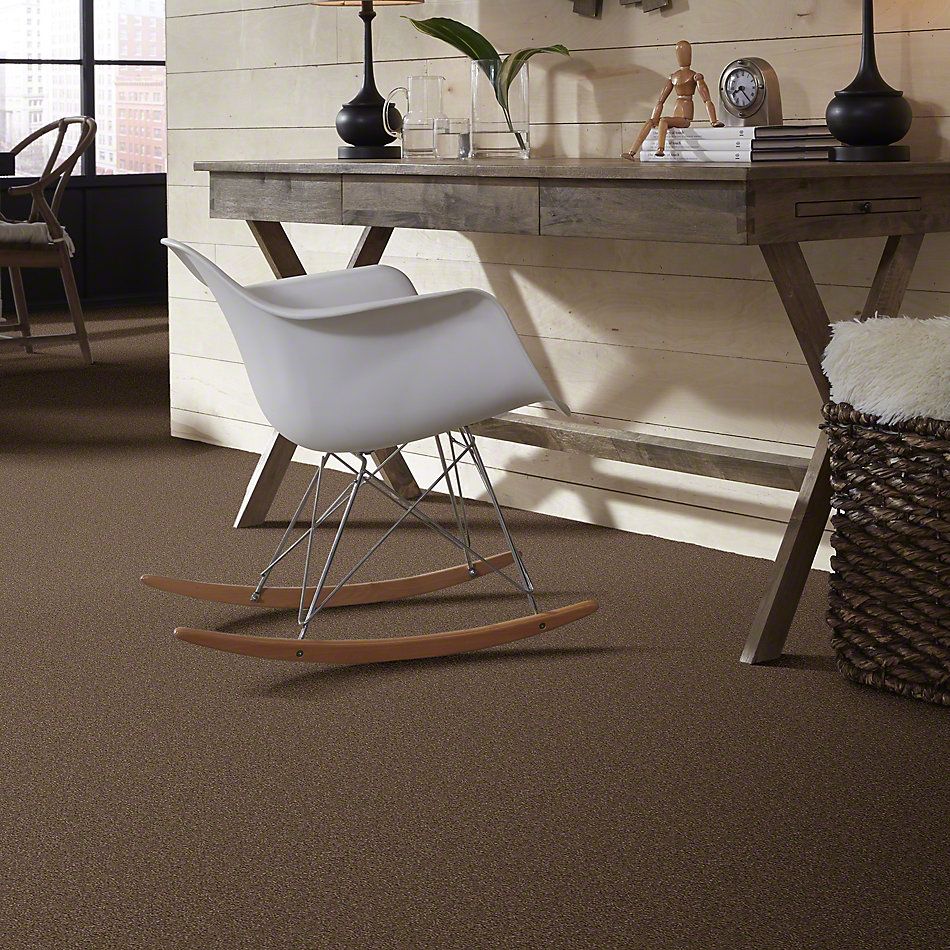 Shaw Floors Shaw Design Center Honest To Goodness Brushed Suede 00702_5C793