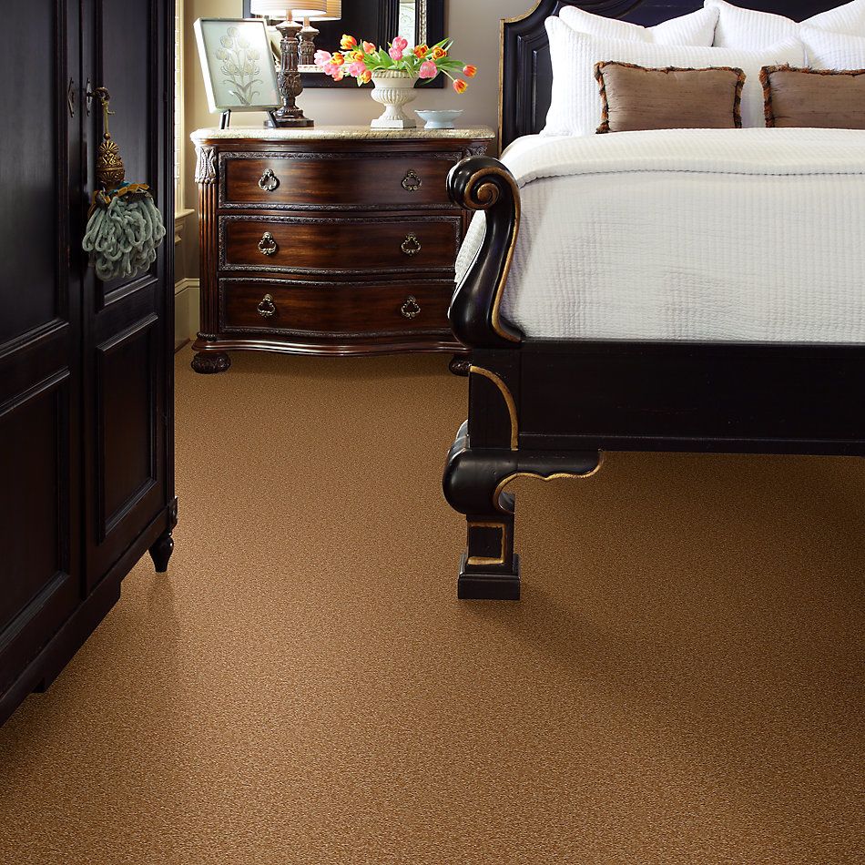 Shaw Floors Value Collections Sandy Hollow Cl Iv Net Peanut Brittle 00702_5E512
