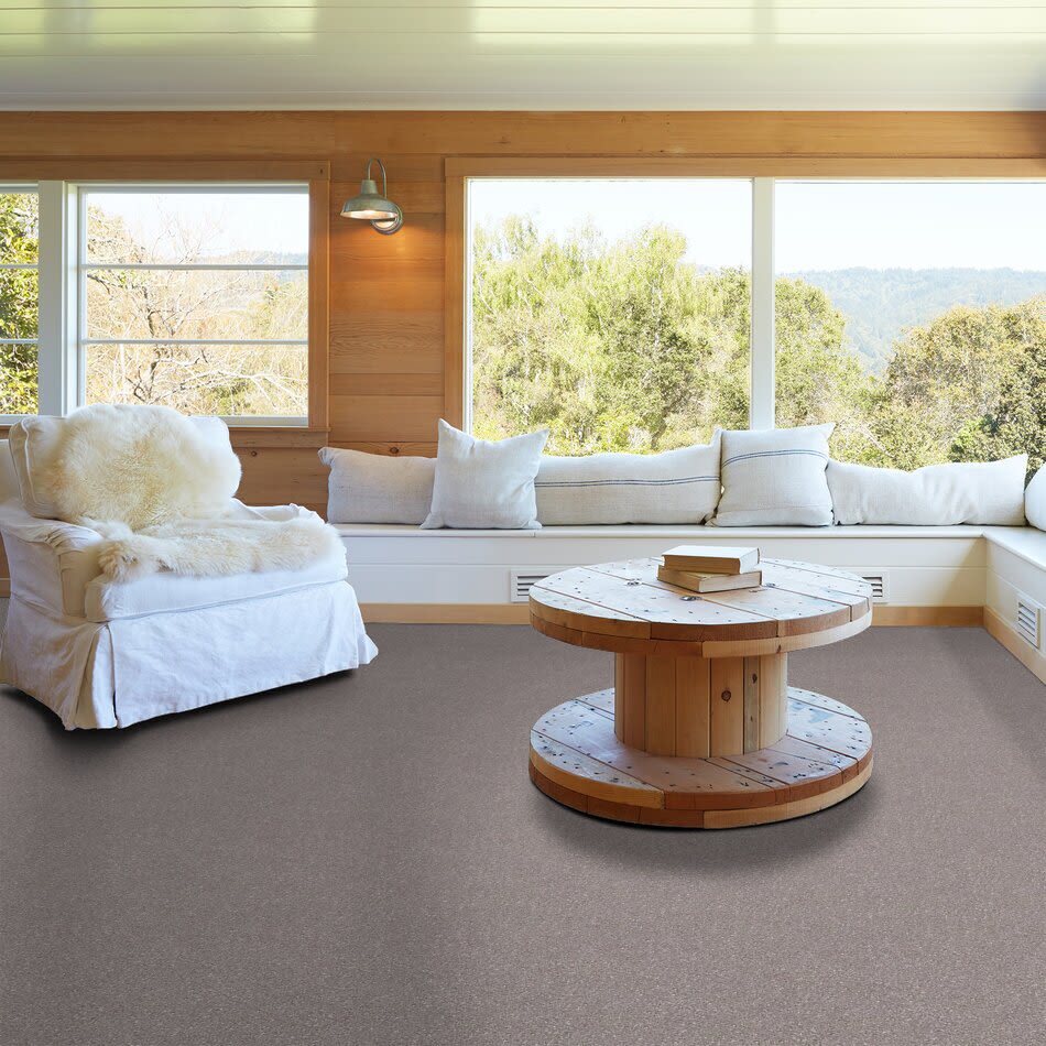 Shaw Floors Century Homes Elliots Manor I Mocha Frost 00702_C083H