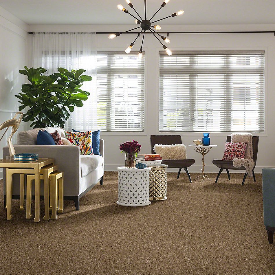 Shaw Floors Entourage Texture Twig GF00702_E0342