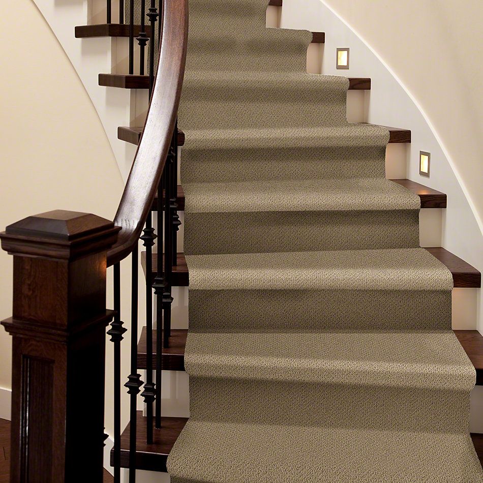 Shaw Floors Timeless Charm Loop Twig 00702_E0405