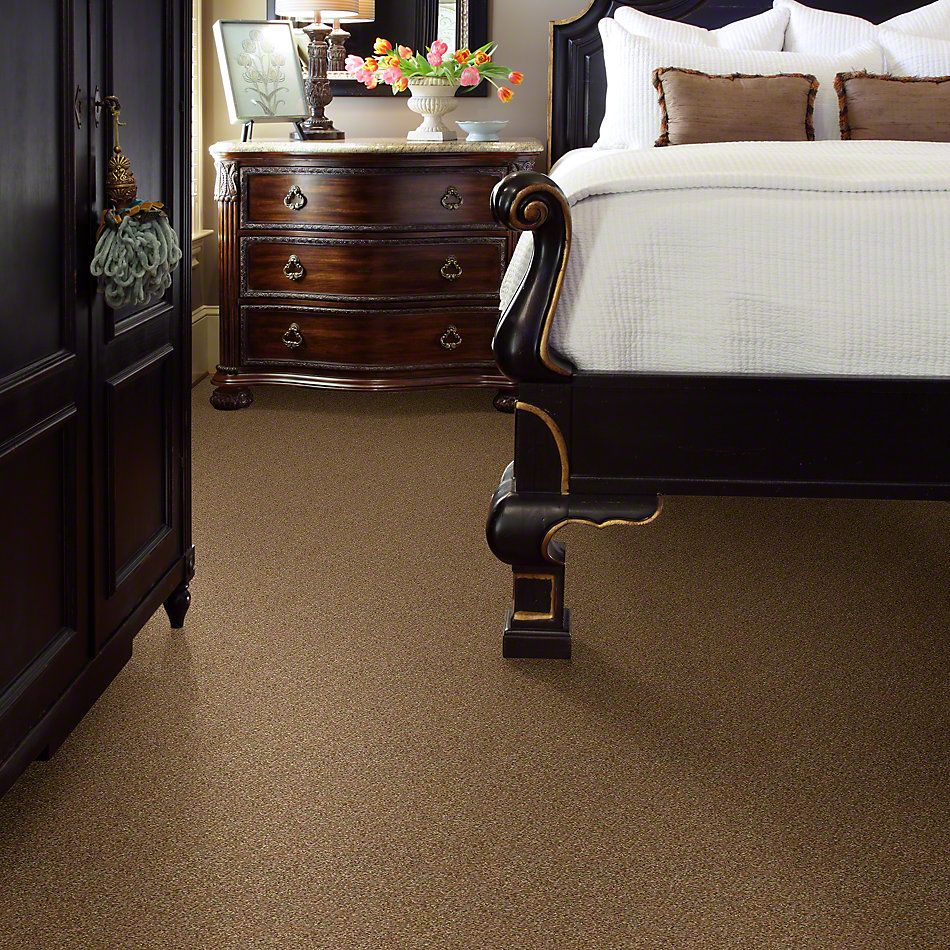Shaw Floors Picturesque Leather Bound 00702_E0539