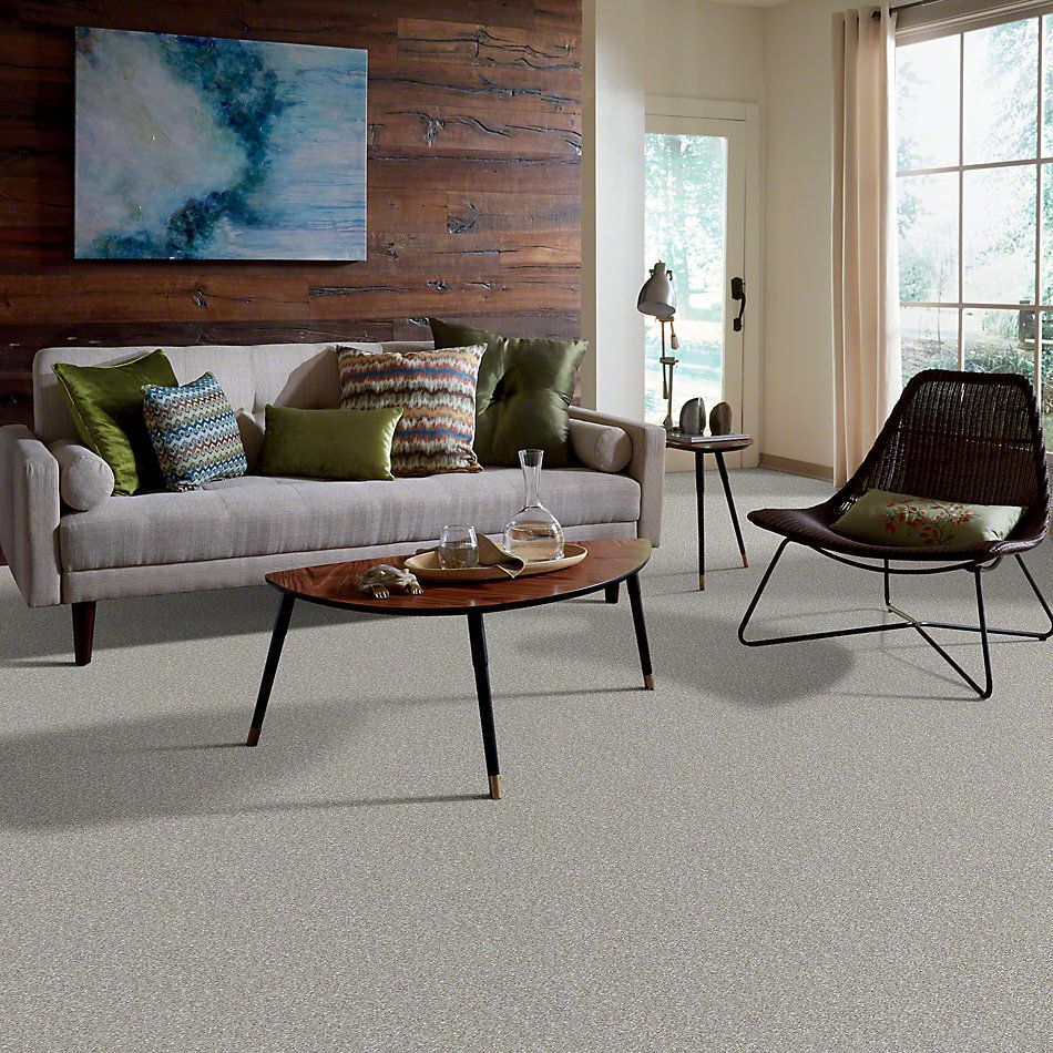 Shaw Floors Value Collections Well Played I 15′ Net Mocha Frost 00702_E0847