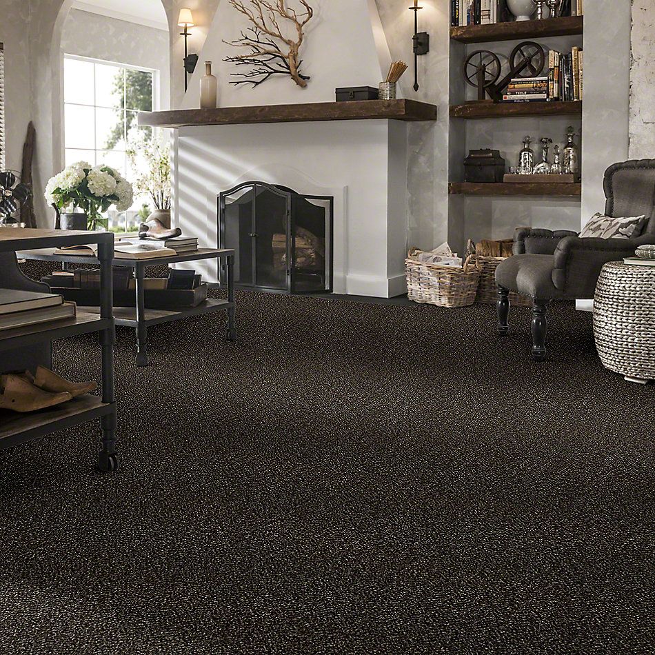 Shaw Floors Simply The Best Because We Can I 15′ River Rock 00702_E9258