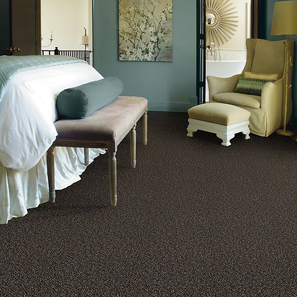 Shaw Floors Simply The Best Because We Can II 15 River Rock 00702_E9259