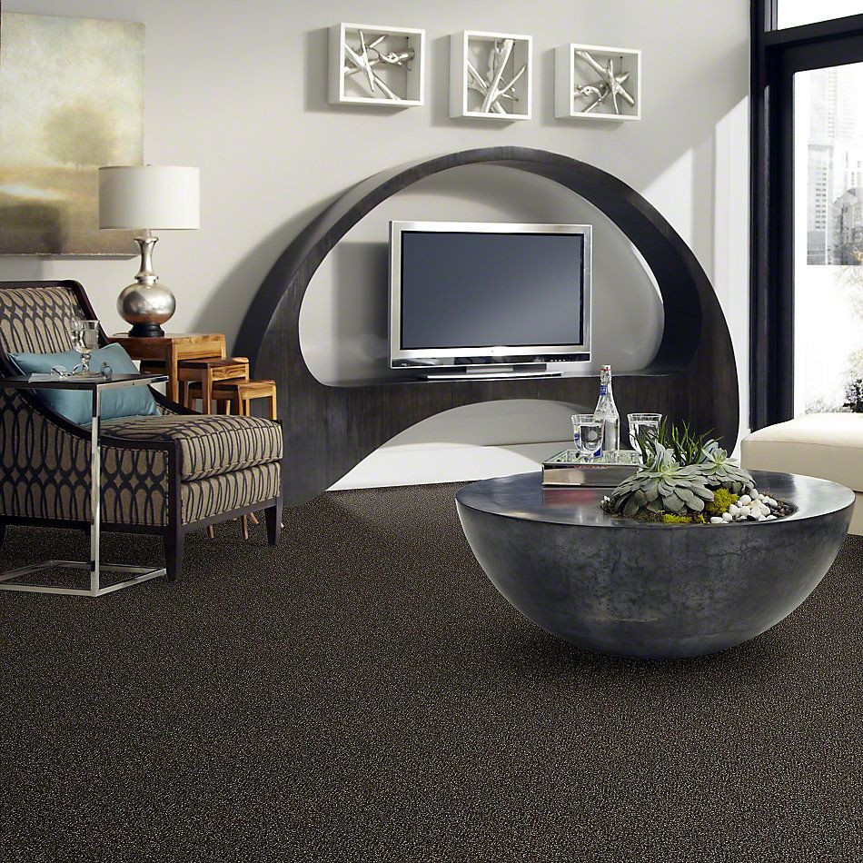 Shaw Floors Simply The Best Because We Can II 15 River Rock 00702_E9259