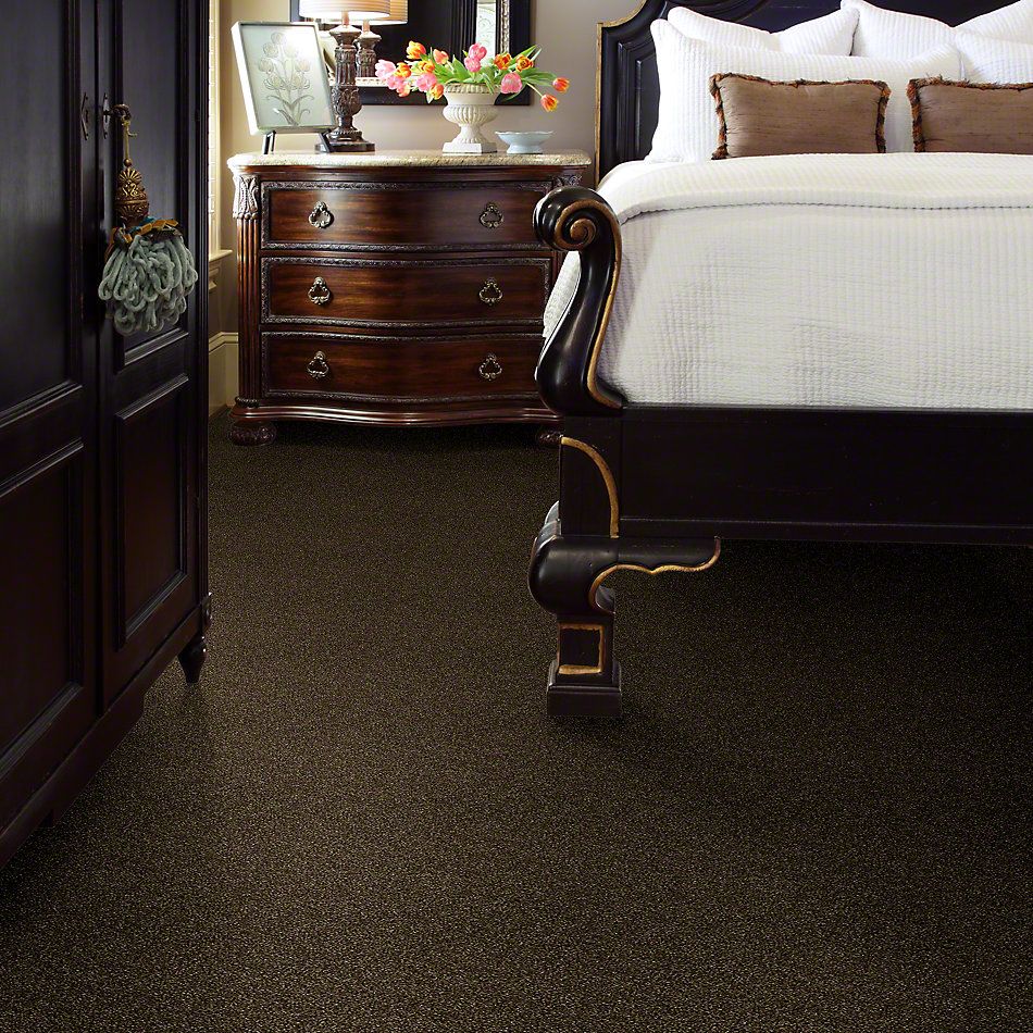 Shaw Floors Simply The Best Of Course We Can I 15′ Sedona 00702_E9422
