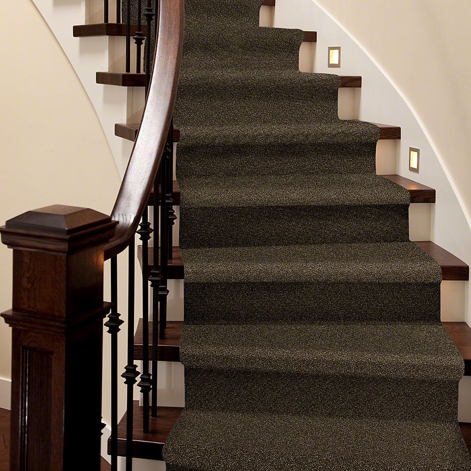 Shaw Floors Simply The Best Of Course We Can I 15′ Sedona 00702_E9422