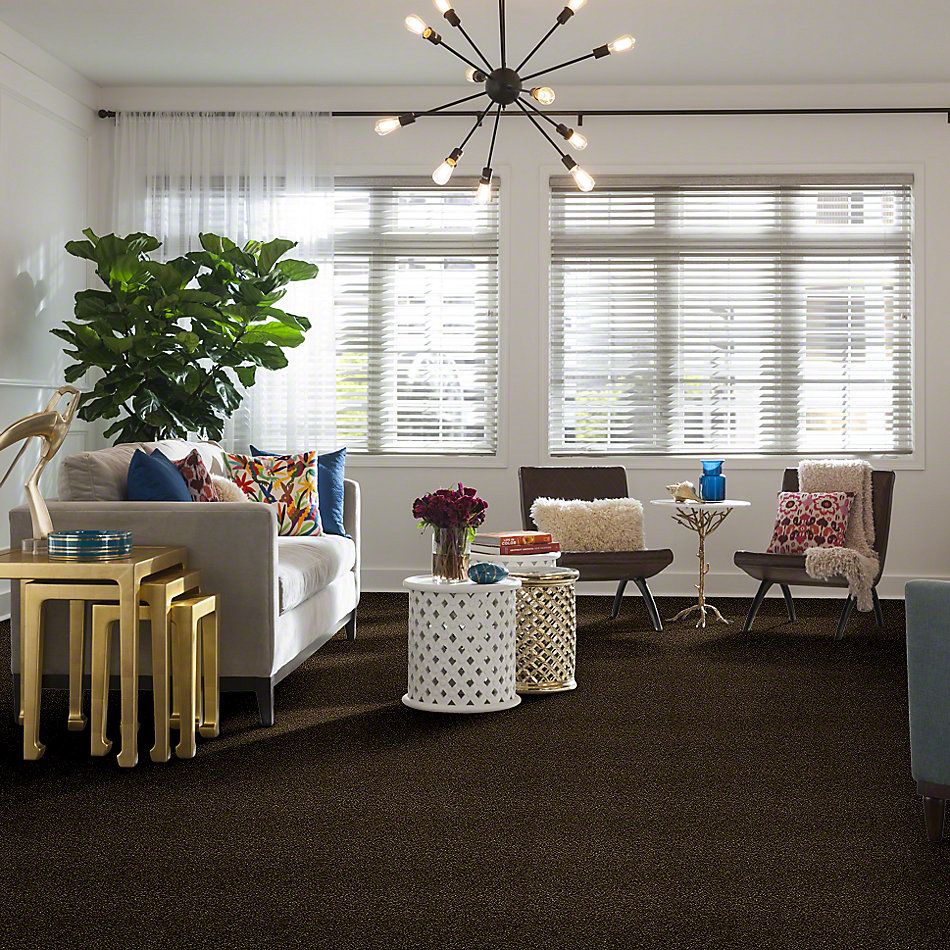 Shaw Floors Simply The Best Of Course We Can II 15′ Sedona 00702_E9424