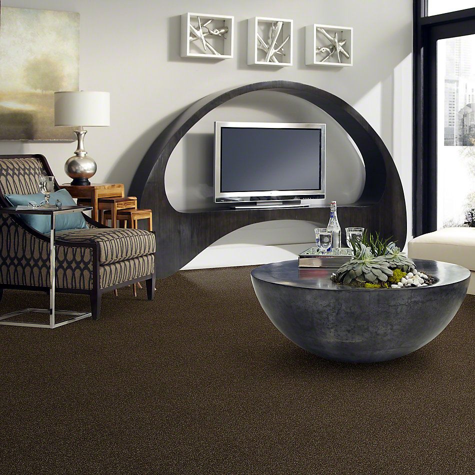 Shaw Floors Value Collections Of Course We Can III 12′ Net Sedona 00702_E9441