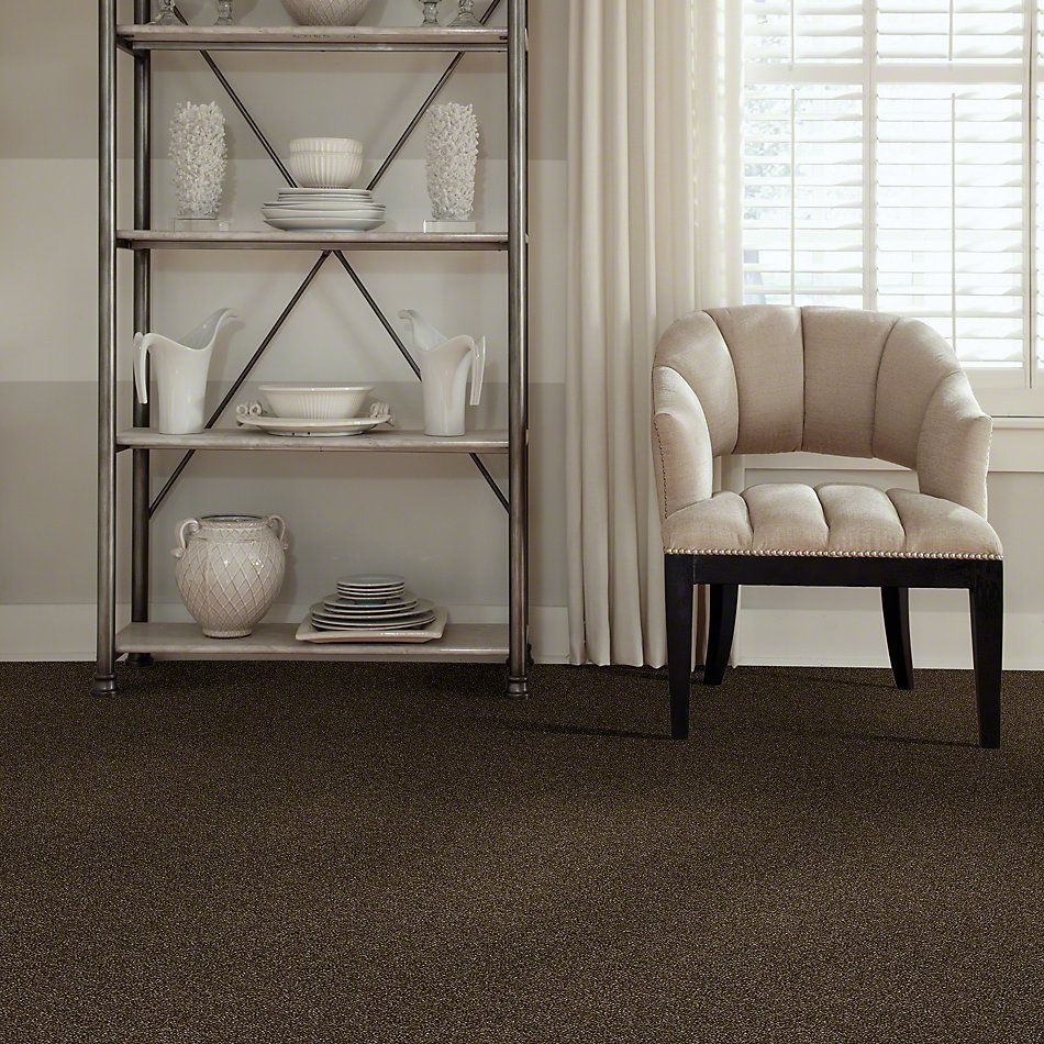 Shaw Floors Value Collections Of Course We Can III 15′ Net Sedona 00702_E9444