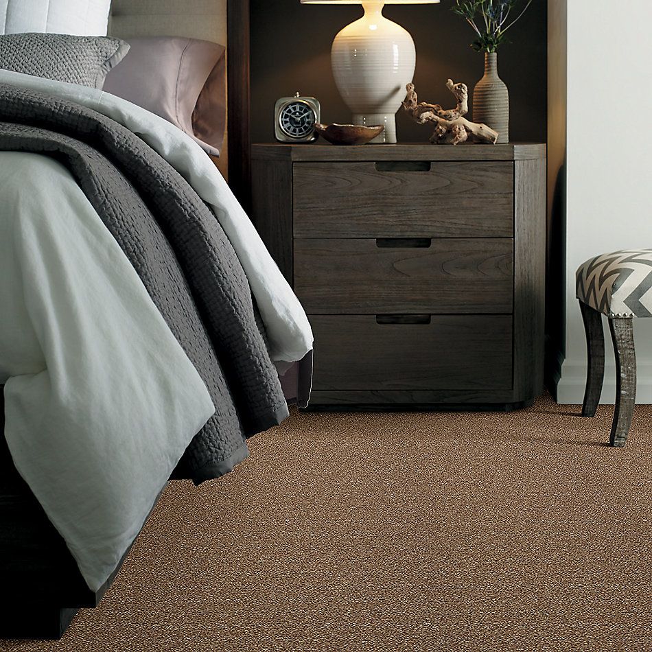 Shaw Floors Simply The Best Super Buy 65 Spruce 00702_E9601