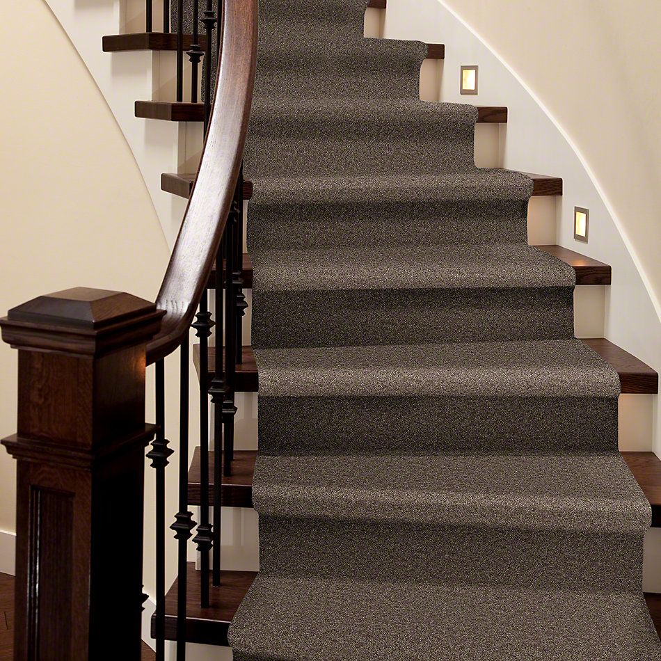 Shaw Floors SFA Drexel Hill II 15′ Cattail 00702_EA052