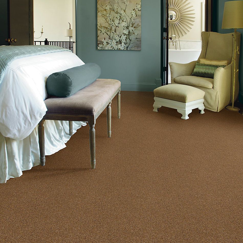 Shaw Floors Nfa/Apg Phenomenal Leather Bound 00702_NA260