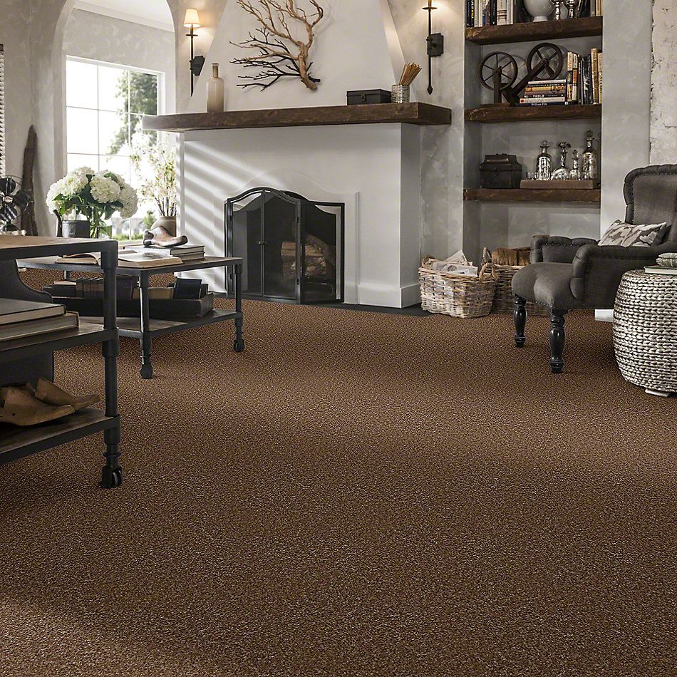 Shaw Floors Property Solutions Falcon Coach House 00702_PS590
