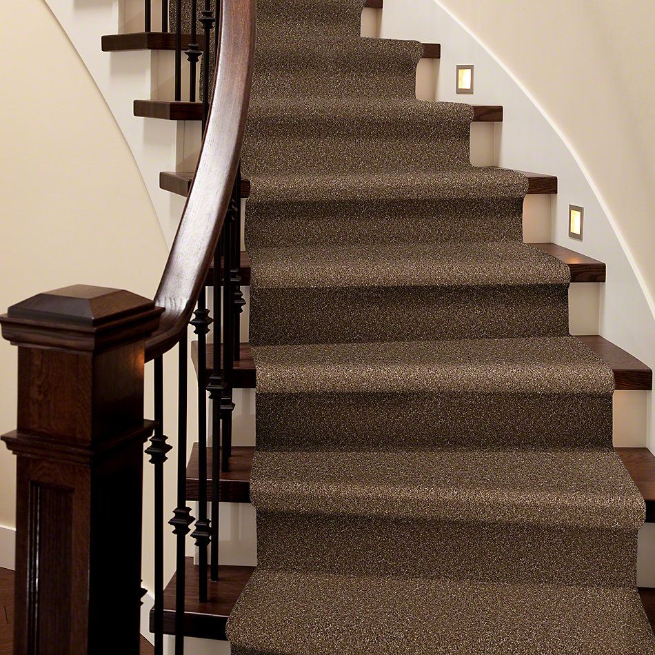 Shaw Floors Property Solutions Falcon Coach House 00702_PS590