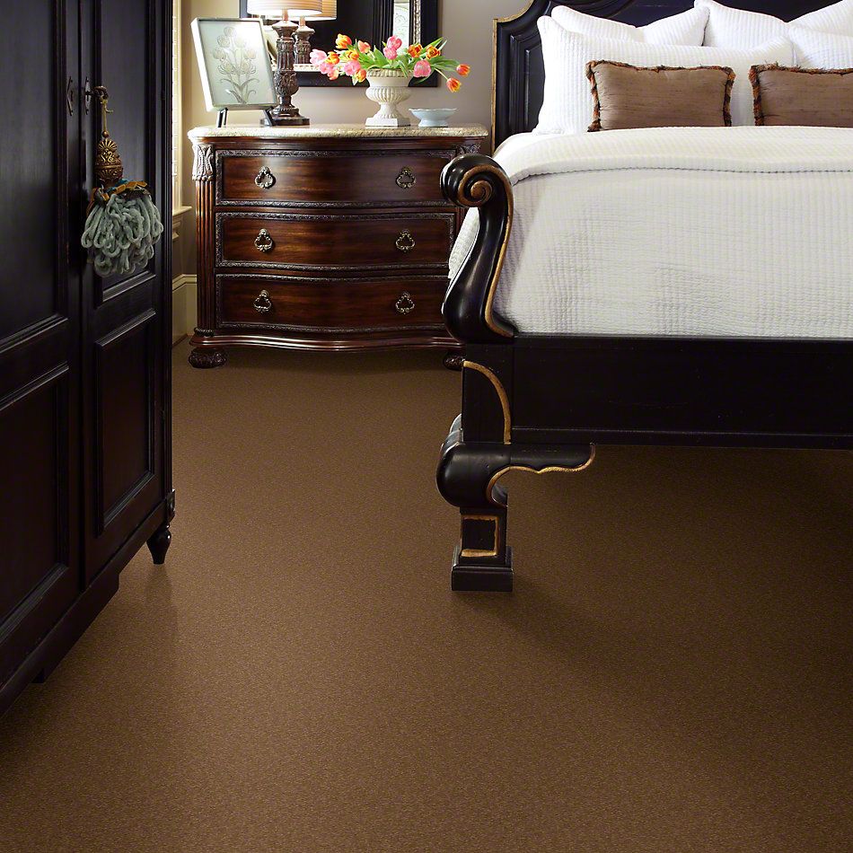 Shaw Floors Anso Premier Dealer Great Effect I 12′ Peanut Brittle 00702_Q4327