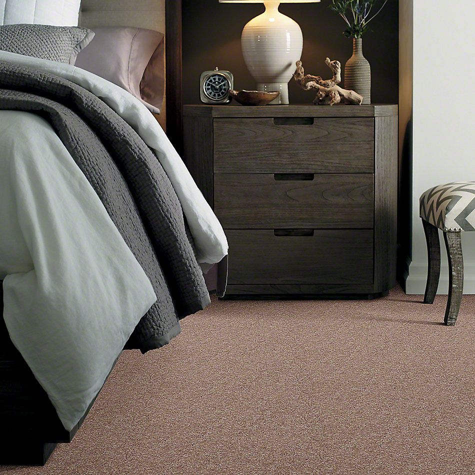Shaw Floors Roll Special Xv540 Deer Tracks 00702_XV540