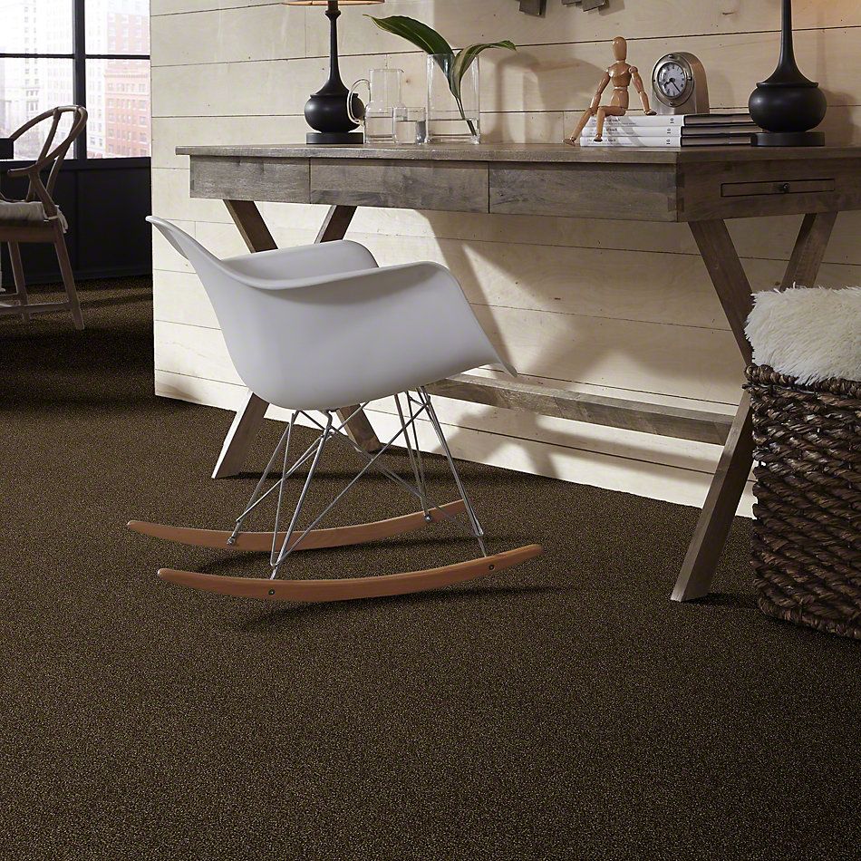 Shaw Floors Roll Special Xy158 Sedona 00702_XY158