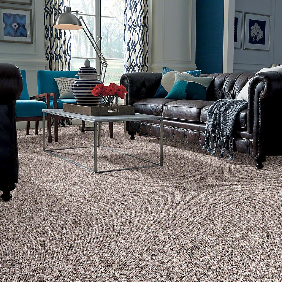 Shaw Floors St. Bryant 12 Hearth Stone 19585_00703